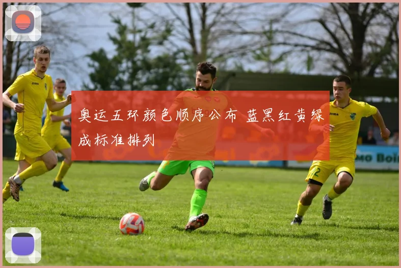 奥运五环颜色顺序公布 蓝黑红黄绿成标准排列