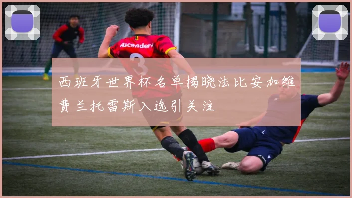 西班牙世界杯名单揭晓法比安加维费兰托雷斯入选引关注