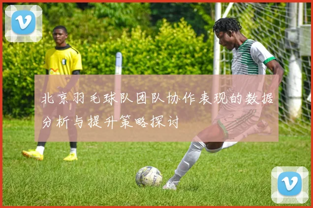 北京羽毛球队团队协作表现的数据分析与提升策略探讨