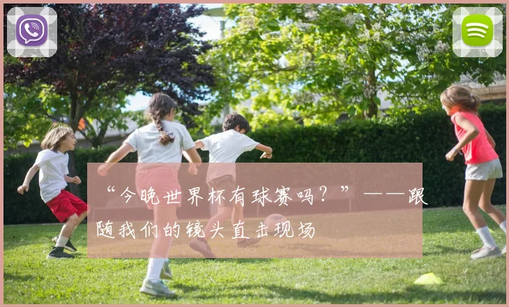 “今晚世界杯有球赛吗？”——跟随我们的镜头直击现场