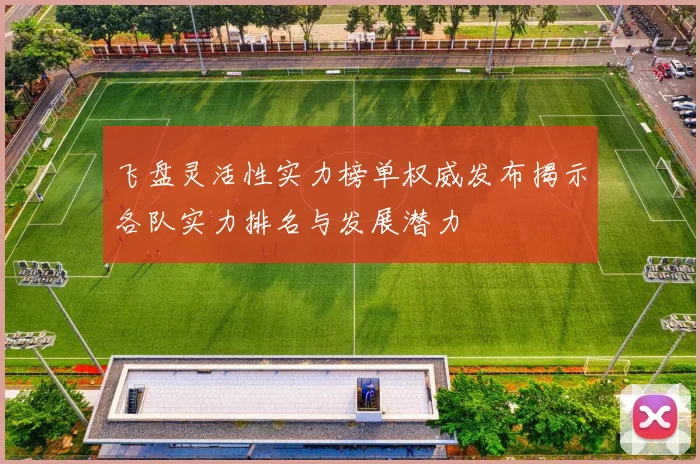 飞盘灵活性实力榜单权威发布揭示各队实力排名与发展潜力