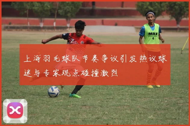 上海羽毛球队节奏争议引发热议球迷与专家观点碰撞激烈